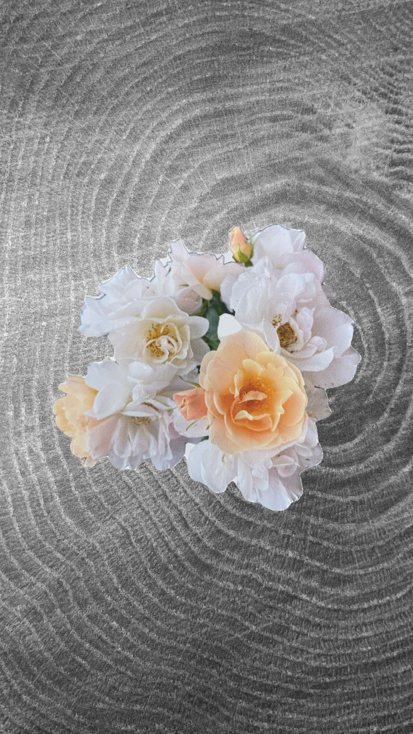Rose Sticker