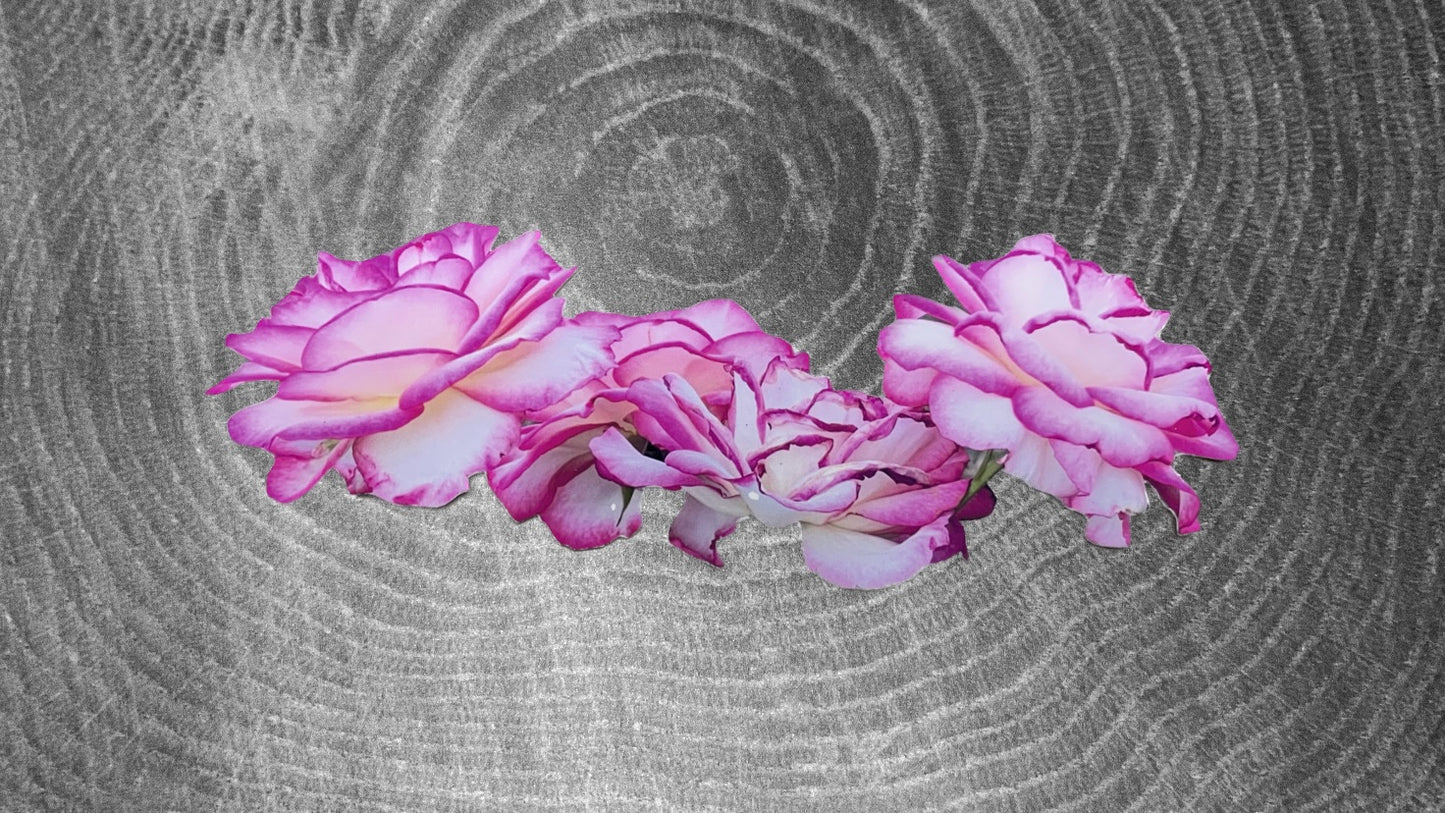 Rose Sticker