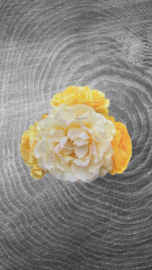 Rose Sticker