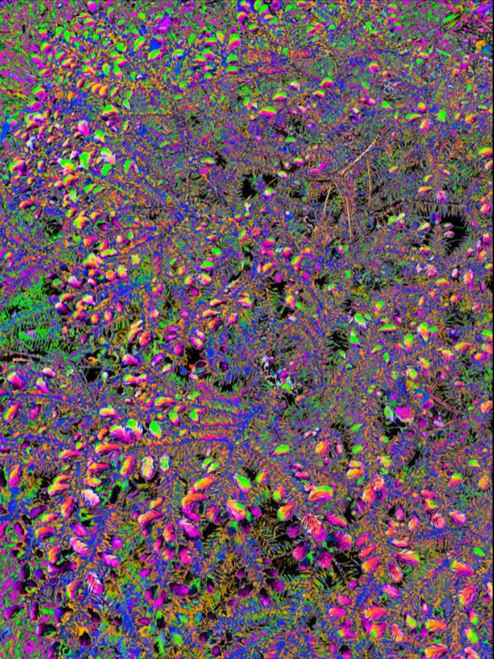 Chromafoliage