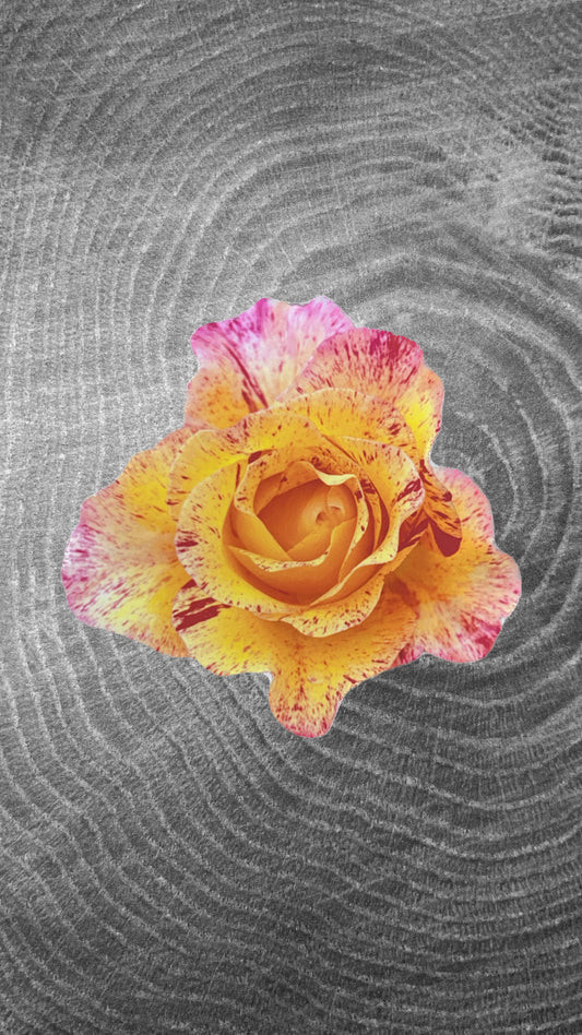 Rose Sticker